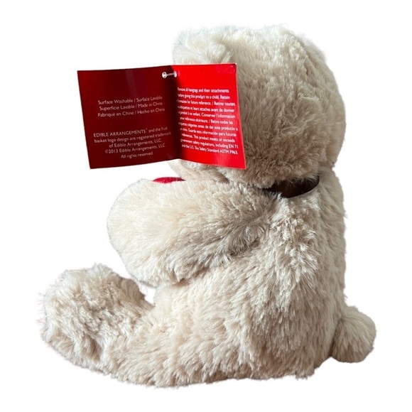 Edible Arrangements‎ Berry Loved Bear Plush Stuffed Animal Toy 10” with tag - Picture 3 of 8